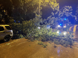 Megyénket sem kerülte el a tegnapi vihar