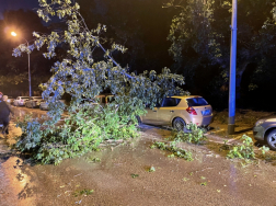 Megyénket sem kerülte el a tegnapi vihar