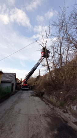 Nyolc méter magas fa dőlt felsővezetéknek Tatabányán