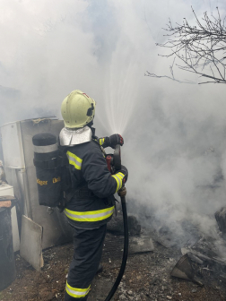  Tata, Gesztenye fasor, tűzeset