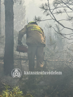 Megkezdték a beavatkozást a magyar tűzoltók Észak-Macedóniában