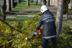 Mentőcsoportok nemzeti minősítő gyakorlata