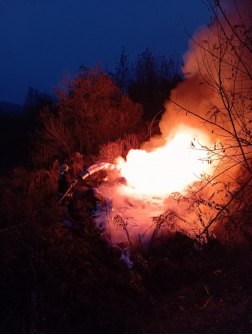 Szabadtéri tűzesethez vonultak a tűzoltók Tatabányán