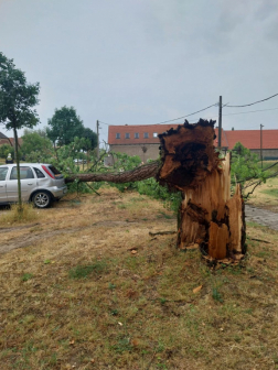 Katasztrófavédelem