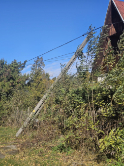 Úttestre és villanyvezetékre dőlt egy fa Oroszlányon