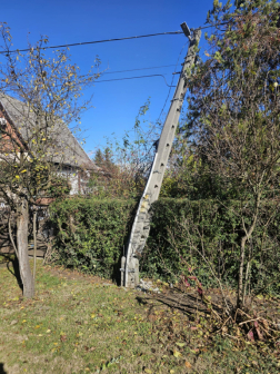 Úttestre és villanyvezetékre dőlt egy fa Oroszlányon