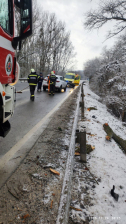 Gépkocsira dőlt egy fa