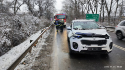 Gépkocsira dőlt egy fa