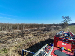 Szabadtéri tűzhöz riasztották a tűzoltókat