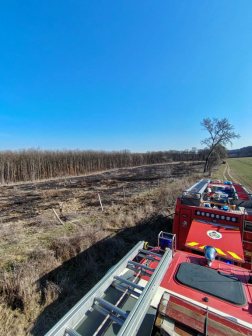 Szabadtéri tűzhöz riasztották a tűzoltókat