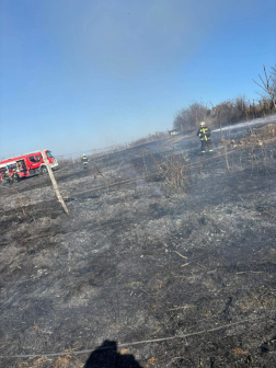 Szabadtéri tűz Süttőn