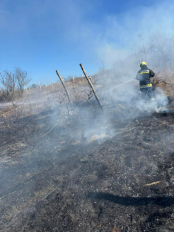Szabadtéri tűz Süttőn