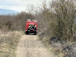 Hatalmas területen égett az aljnövényzet