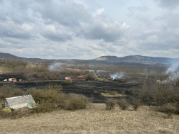 Hatalmas területen égett az aljnövényzet