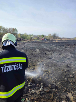 Szabadtéri tűz Tatabányán