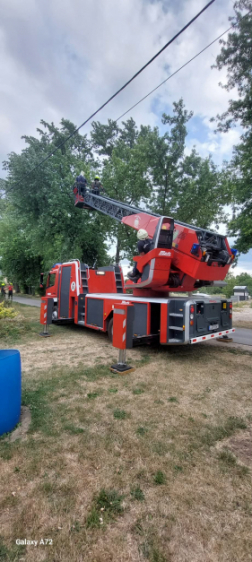 Kettétört egy fa Kömlődön