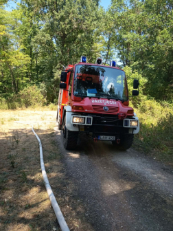 Tűzeset a Kacsás-tó közelében