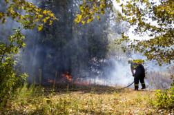 Tűz a kiszáradt tómederben