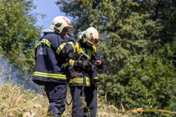 Újratelepített erdőrész aljnövényzete égett 