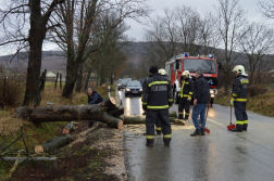 A Héregi Önkéntes Tűzoltó Egyesületről